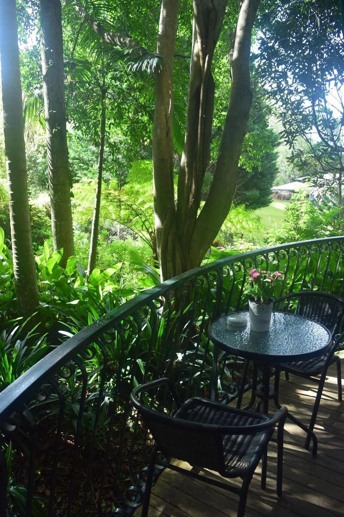 Chalet On Gallery Walk - King Bed, Spa, Fireplace, Wifi & Netflix, Linger A While Mount Tamborine Exterior foto